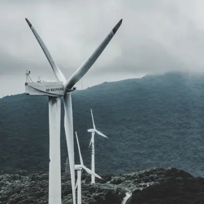 Environment