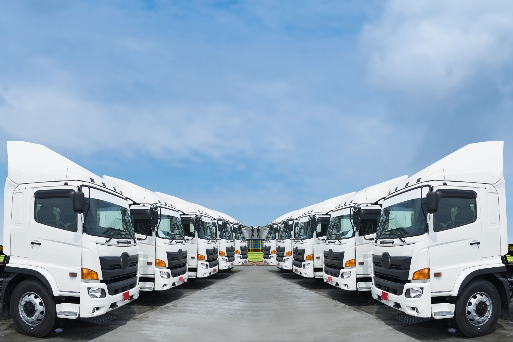 Fleet Trucks